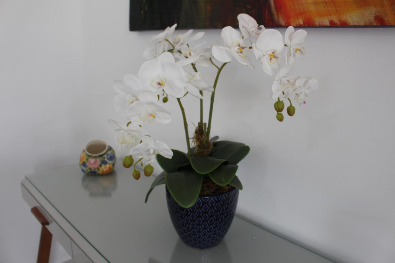 Apartamento Praia Forte 卡波布里奥 外观 照片
